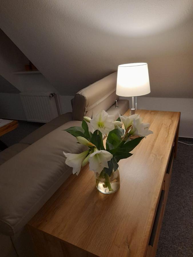Himmel & Hoelle, Heiligegeiststrasse 22 Lejlighed Quedlinburg Eksteriør billede